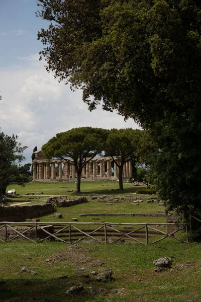 Paestum Archeologisch Park Prachtige Historische Ruïnes Van Tempels Uit Romeinse — Stockfoto