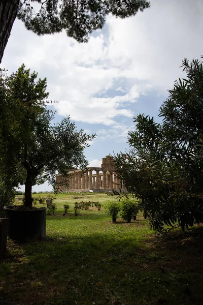 Paestum Parque Arqueológico Belas Ruínas Históricas Templos Época Romana Campania — Fotografia de Stock