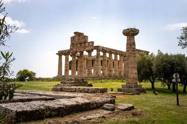 Paestum Arkeoloji Parkı Roma Zamanından Kalma Güzel Tarihi Tapınaklar Campania — Stok fotoğraf