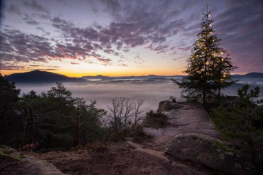 Wachtfelsen, Wernersberg 'de büyüleyici bir gün doğumu. Büyüleyici Pflzerwald: Puslar, bulutlar ve köknar ağacı sabah parlıyor