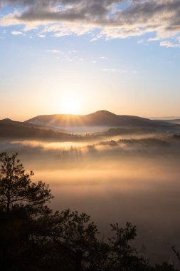 Wachtfelsen 'de Mistik Gün Doğumu, Palatinate Ormanı. Wernersberg, Almanya yakınlarında sis ve bulutların arasında büyüleyici bir manzara.