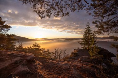 Wachtfelsen, Wernersberg 'de büyüleyici bir gün doğumu. Büyüleyici Pflzerwald: Puslar, bulutlar ve köknar ağacı sabah parlıyor