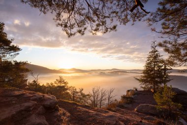 Wachtfelsen, Wernersberg 'de büyüleyici bir gün doğumu. Büyüleyici Pflzerwald: Puslar, bulutlar ve köknar ağacı sabah parlıyor