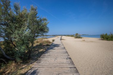 Her iki tarafında deniz olan bir sahil. Ortasında kumlu sahil boyunca uzanan tahta bir yaya köprüsü var. Akdeniz manzarası, Plaa drijac, Nin, Zadar, Dalmaçya, Hırvatistan