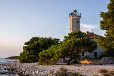 Kayalık bir sahilde, deniz feneri ve çam ormanıyla güzel bir gün batımı. Akdeniz, Vir, Dalmazien, Hırvatistan ve Adriyatik 'teki sahil şeridine bakın.