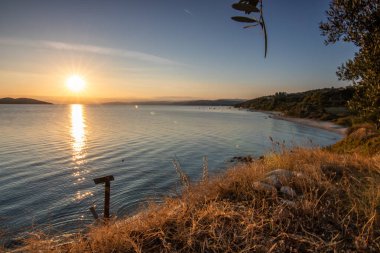 Zeytin ağaçlarıyla dolu bir tepeden gün batımına ve denize bak. Ouranoupoli, Selanik, Orta Makedonya ve Yunanistan sahillerindeki Akdeniz manzarasının akşam havası