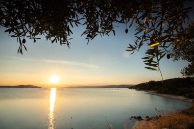 Zeytin ağaçlarıyla dolu bir tepeden gün batımına ve denize bak. Ouranoupoli, Selanik, Orta Makedonya ve Yunanistan sahillerindeki Akdeniz manzarasının akşam havası