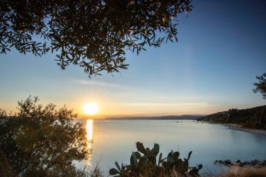 Zeytin ağaçlarıyla dolu bir tepeden gün batımına ve denize bak. Ouranoupoli, Selanik, Orta Makedonya ve Yunanistan sahillerindeki Akdeniz manzarasının akşam havası