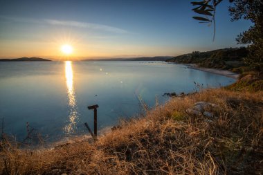 Zeytin ağaçlarıyla dolu bir tepeden gün batımına ve denize bak. Ouranoupoli, Selanik, Orta Makedonya ve Yunanistan sahillerindeki Akdeniz manzarasının akşam havası