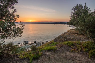 View from a hill with olive trees into the sunset and the sea. Evening mood of a Mediterranean landscape on the beach and coast of Ouranoupoli, Thessaloniki, Central Macedonia, Greece clipart