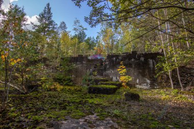 İsveç 'te terk edilmiş maden evleri olan bir orman. Huş ağacı, yazın gün ışığında çam ormanı. İsveç yakınlarındaki doğada çekilen manzara.