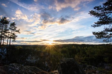 Çam ormanında çekilmiş manzara. Ağaçlara bakan bir kayanın manzarası. İsveç 'te akşam saatlerinde ufukta romantik bir günbatımı beliriyor.,