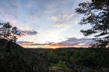 Çam ormanında çekilmiş manzara. Ağaçlara bakan bir kayanın manzarası. İsveç 'te akşam saatlerinde ufukta romantik bir günbatımı beliriyor.,