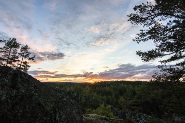 Çam ormanında çekilmiş manzara. Ağaçlara bakan bir kayanın manzarası. İsveç 'te akşam saatlerinde ufukta romantik bir günbatımı beliriyor.,