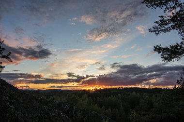 Çam ormanında çekilmiş manzara. Ağaçlara bakan bir kayanın manzarası. İsveç 'te akşam saatlerinde ufukta romantik bir günbatımı beliriyor.,