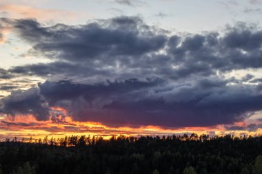 Çam ormanında çekilmiş manzara. Ağaçlara bakan bir kayanın manzarası. İsveç 'te akşam saatlerinde ufukta romantik bir günbatımı beliriyor.,
