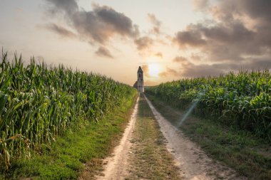 Old Catholic church, ruins in the middle of the corn field. Landscape shot at sunset Pusztatorony Hager, Somogyvmos Balaton, Hungary clipart