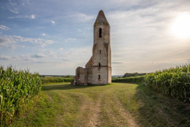 Eski Katolik kilisesi, mısır tarlasının ortasındaki harabeler. Günbatımında manzara çekimi Pusztatorony Hager, Somogyvmos Balaton, Macaristan