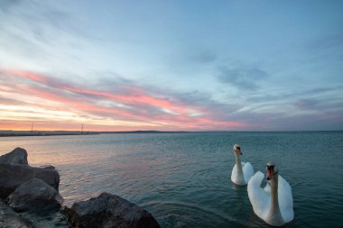 a small marina on a lake. Breakwater and pillar with golden figure in the dreamy sunset. Landscape shot in Sifok, Balaton, Hungary clipart