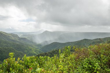 Orman manzaralı harika bir bakış açısı. Gorges Viewpoint, Black River Gorges Ulusal Parkı, Mauritius 'ta gözün görebildiği kadar tropikal bitki örtüsü.