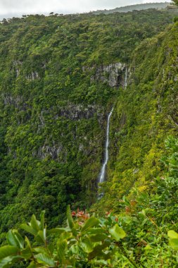 Orman manzaralı harika bir bakış açısı. Gorges Viewpoint, Black River Gorges Ulusal Parkı, Mauritius 'ta gözün görebildiği kadar tropikal bitki örtüsü.