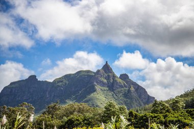 Orman manzaralı harika bir bakış açısı. Göz alabildiğince tropikal bitki örtüsü Gorges Viewpoint, Black River Gorges Ulusal Parkı, Mauritius