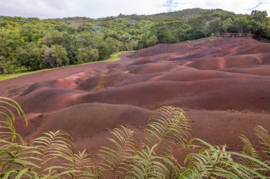 World famous place, a natural wonder in the middle of a park. Landscape shot at sunset in the rain. Seven Colored Earth, Black River Gorges National Park, Mauritius clipart