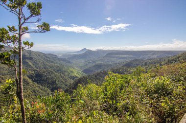 Orman manzaralı harika bir bakış açısı. Gorges Viewpoint, Black River Gorges Ulusal Parkı, Mauritius 'ta gözün görebildiği kadar tropikal bitki örtüsü.
