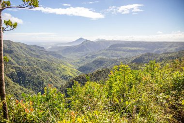 Orman manzaralı harika bir bakış açısı. Göz alabildiğince tropikal bitki örtüsü Gorges Viewpoint, Black River Gorges Ulusal Parkı, Mauritius