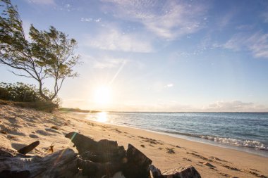 Rüya adasında gün doğumu. Turkuaz suyla parlayan beyaz kumlu sahilde tatil. Hint Okyanusu 'nda bir ada, beklenmedik bir plaj, Trou dEau Douce, Mauritius, Afrika