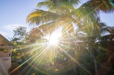 Rüya adasında gün doğumu. Hint Okyanusu 'ndaki tropikal bir adada, tropikal bir plajda, trou dEau Douce, Mauritius, Afrika