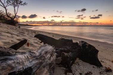 Sabahları kumlu harika bir sahil. Hint Okyanusu 'nda bir ada, deniz manzaralı fotoğraf ya da deniz manzaralı deniz manzaralı. Sahilde küçük lav kayaları var Trou d 'Eau Douce, Mauritius