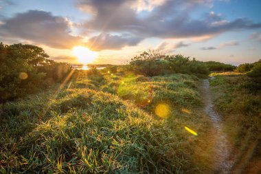 Hint Okyanusu 'ndaki bir adada manzara çekimi. Sahildeki bu yeşil çayır, ufukta gün doğumuyla Mauritius, Trou d 'Eau Douce' deki lav kayaları arasında uzanır.