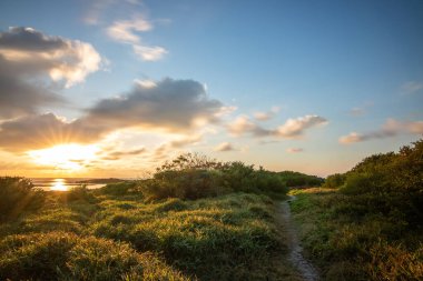 Hint Okyanusu 'ndaki bir adada manzara çekimi. Sahildeki bu yeşil çayır, ufukta gün doğumuyla Mauritius, Trou d 'Eau Douce' deki lav kayaları arasında uzanır.