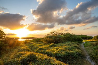 Hint Okyanusu 'ndaki bir adada manzara çekimi. Sahildeki bu yeşil çayır, ufukta gün doğumuyla Mauritius, Trou d 'Eau Douce' deki lav kayaları arasında uzanır.