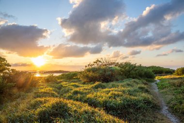 Hint Okyanusu 'ndaki bir adada manzara çekimi. Sahildeki bu yeşil çayır, ufukta gün doğumuyla Mauritius, Trou d 'Eau Douce' deki lav kayaları arasında uzanır.