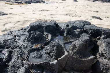 Küçük dalgalar lav kayalarını denizle çevreler. Hint Okyanusu 'ndaki bir adanın kıyı şeridi. Sabah gün doğumu, sahilde güzel sıcak bir ışık... Trou d 'Eau Douce, Mauritius