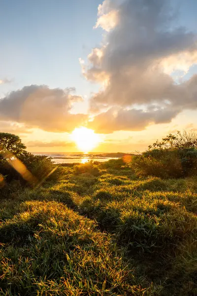 stock image Landscape shot on an island in the Indian Ocean. This green meadow on the beach lies between the sea with sunrise over the horizon and lava rocks Trou d'Eau Douce, Mauritius