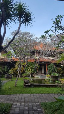 Güzel tropikal bir manzara. Pirinç tarlaları ormanları ve adada bir sürü doğa. Pirinç ekimi ve doğayla iç içe pirinç terasları. Yancılar, Bali, Endonezya