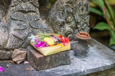 Hindu inancının kurbanları. Bali Endonezya
