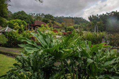 Kralın su tapınağı ya da su sarayı. Tiran Çetesi sitesi Bali, Endonezya 'da tropik manzara, renkli çiçekler ve heykeller bulunabilir.