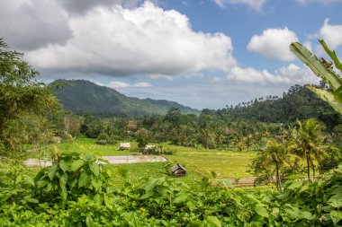 Bali 'nin Gne tarafı, orijinal Bali' de Gne pirinç terasları. Pirinç ekimi tropikal doğayla çevrilidir. Siedemen, Karangasem, Bali, Endonezya 'da manzara çekimi