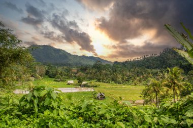 Bali 'nin Gne tarafı, orijinal Bali' de Gne pirinç terasları. Pirinç ekimi tropikal doğayla çevrilidir. Siedemen, Karangasem, Bali, Endonezya 'da manzara çekimi