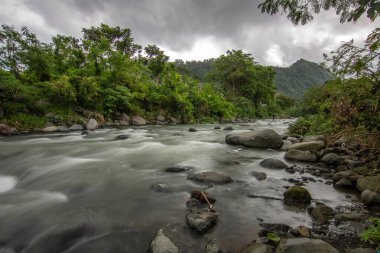Doğal Tropikal Ortam 'daki Nehir. Güzel gizli nehir ve Endonezya 'nın Bali kıyısında inanılmaz bitkiler.