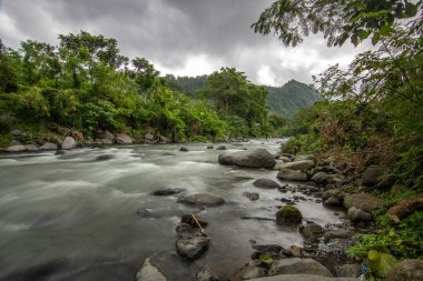 Doğal Tropikal Ortam 'daki Nehir. Güzel gizli nehir ve Endonezya 'nın Bali kıyısında inanılmaz bitkiler.