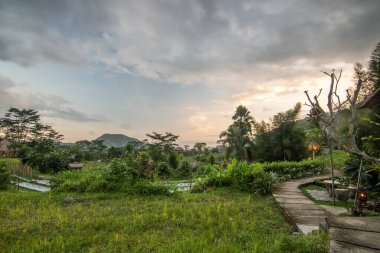 Pirinç tarlalarının ve pirinç teraslarının ortasında küçük özel bir otel. Sidemen, Bali, Endonezya 'nın orijinal ve tipik manzarasında saf doğa.