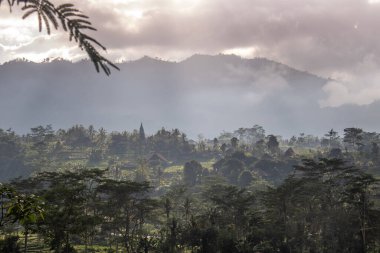 Bali 'nin yeşil tarafı, pirinç terasları, orman ve tropikal bir çevre. Siedemen, Karangasem, Bali, Endonezya