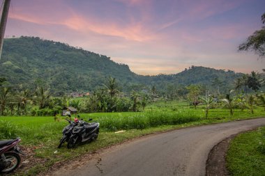 Bali 'nin Gne tarafı, orijinal Bali' de Gne pirinç terasları. Pirinç ekimi tropikal doğayla çevrilidir. Sidemen, Karangasem, Bali, Endonezya 'da manzara çekimi