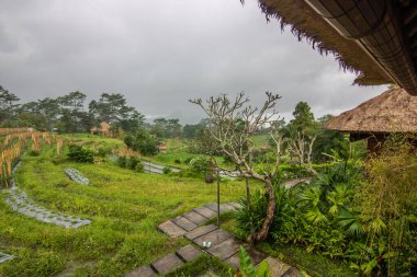 Small private hotel in the middle of the rice fields and rice terraces. Pure nature in the original and typical landscape of Sidemen, Bali, Indonesia clipart