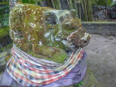 Parlak renkli tavukların olduğu geleneksel bir köy. Endonezya 'nın Bali adasındaki tarihi binalar ve geleneksel yaşam